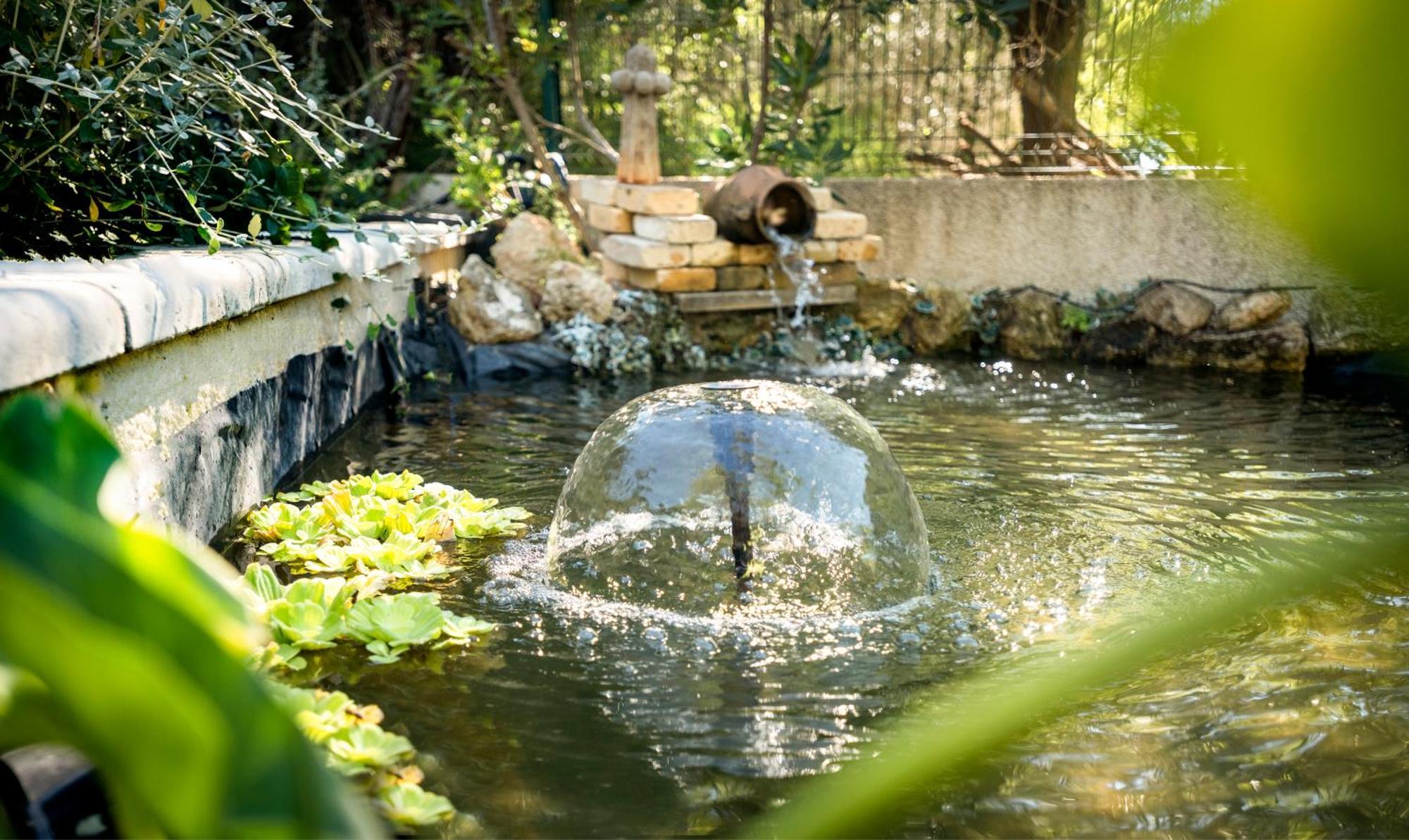 Domaine A L'Aise - Piscine Chauffee Bed & Breakfast Plaissan Dış mekan fotoğraf